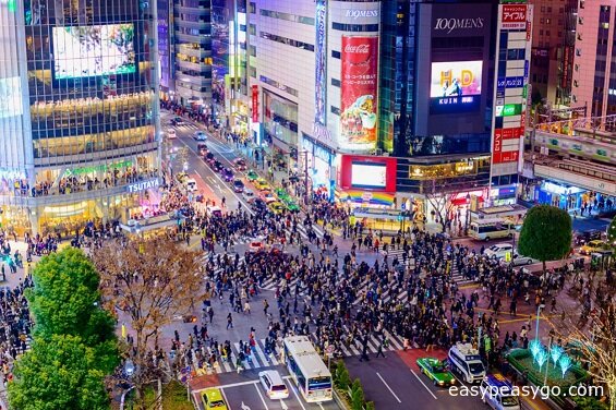 The Most Populous City in the World '' TOKYO''
