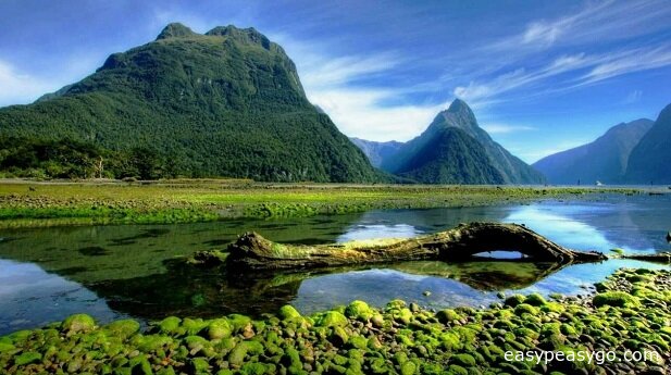 5 Popular Features of New Zealand